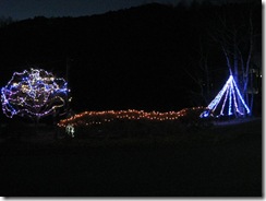 IMG_3456_R