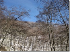 IMG_3535_R