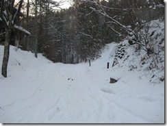 IMG_3547_R