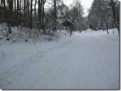 IMG_3548_R