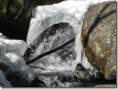 IMG_3636_R