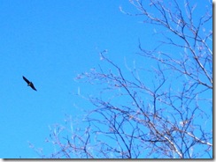 IMG_3645_R