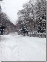 2014.2.15_1_