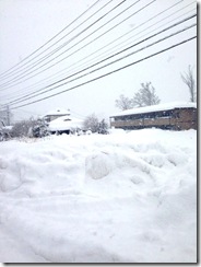 2014.2.15_5_