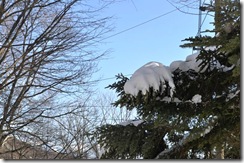 DSC_0578_R