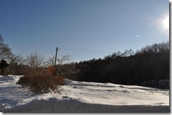 DSC_0590_R