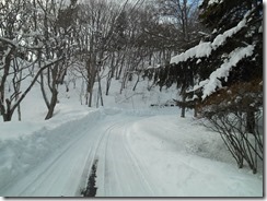 DSCN0124