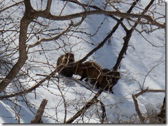 DSCN0129_R