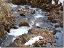 DSCN0208_R