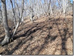 DSCN0209_R