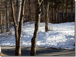 DSCN0210_R