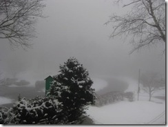 IMG_3683_R