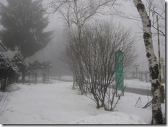 IMG_3685_R