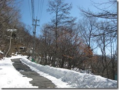 IMG_3698_R