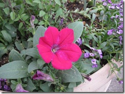 IMG_3758_R
