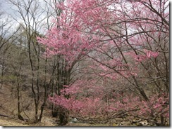 IMG_3791_R