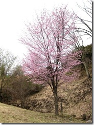 IMG_3797_R