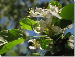 IMG_4236_R