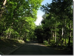 IMG_4258_R