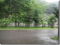 DSCF6348