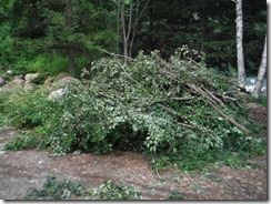 DSCF6410