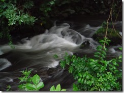 DSCF6415