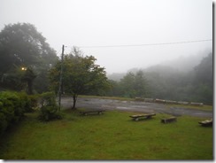 DSCF6419
