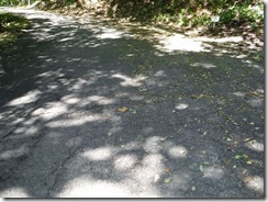 DSCF7170