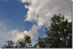 DSC_0235_R