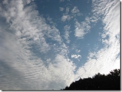 IMG_4652_R