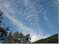 IMG_4653_R
