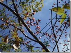 DSCF7224_R