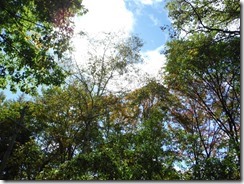 DSCF7264