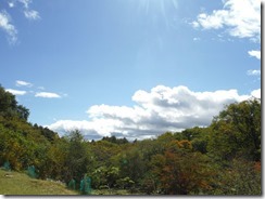 DSCF7268