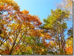 IMG_4932_R