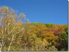 IMG_4981_R