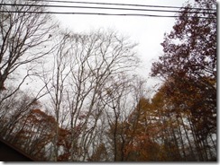DSCF7620
