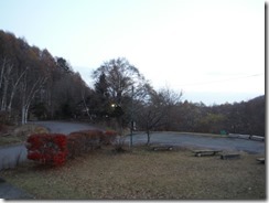 DSCF7665