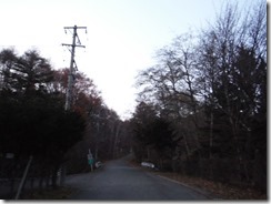 DSCF7666
