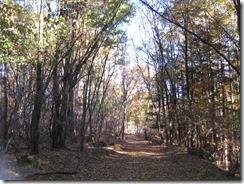 IMG_4999_R