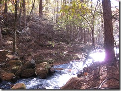 IMG_5005_R