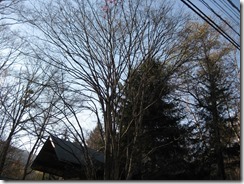 IMG_5013_R