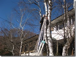 IMG_5203_R