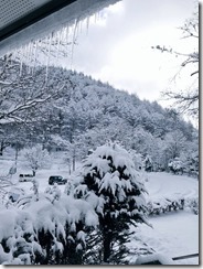 2014.12.6_R