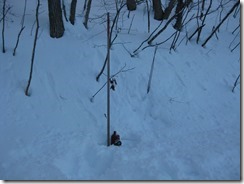 IMG_5451_R