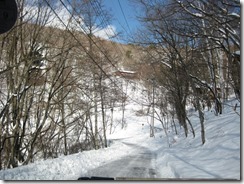 IMG_5462_R
