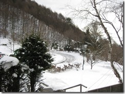 IMG_5465_R