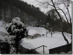 20150119_R