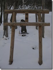 IMG_5550_R