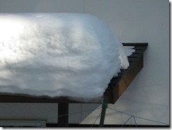 IMG_5558_R
